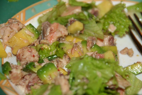 Салат из лосося, авокадо, листьев салата и специй